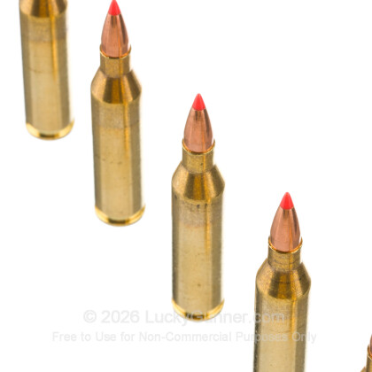 Image 5 of American Quality Ammunition .243 Winchester Ammo