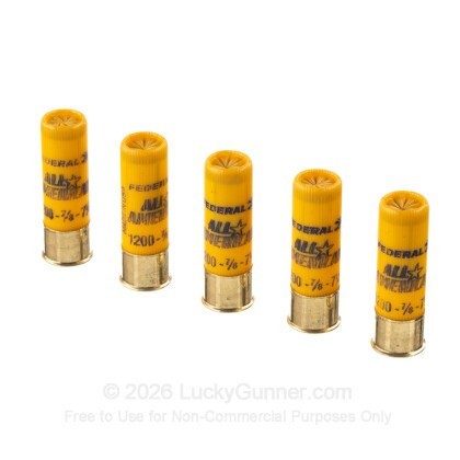 Image 4 of Federal 20 Gauge Ammo