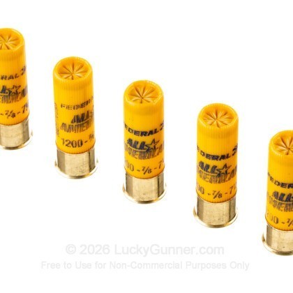 Image 5 of Federal 20 Gauge Ammo
