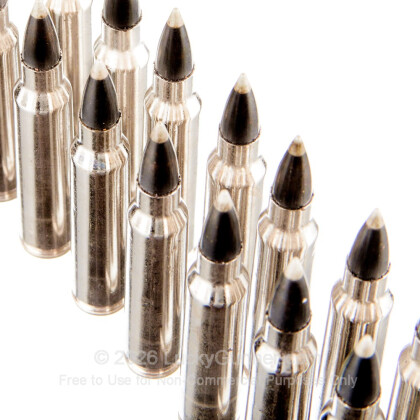 Image 5 of Winchester .223 Remington Ammo