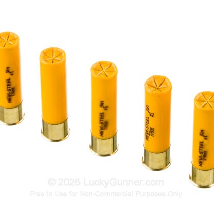 Image 5 of Hevi-Shot 20 Gauge Ammo