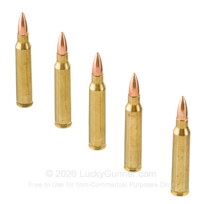 Image 4 of BVAC .223 Remington Ammo