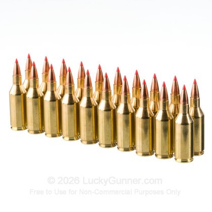 Large image of Hornady Superformance Varmint 243 WSSM Ammo For Sale - 75 Grain V-MAX - 20 Rounds
