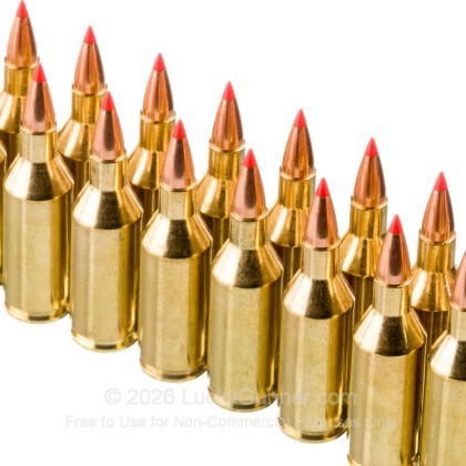 Large image of Hornady Superformance Varmint 243 WSSM Ammo For Sale - 75 Grain V-MAX - 20 Rounds