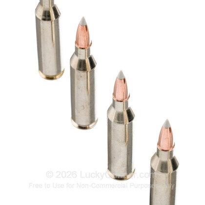 Image 5 of Winchester .243 Winchester Ammo