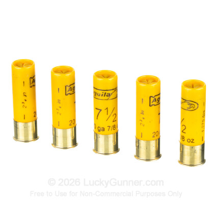 Image 4 of Aguila 20 Gauge Ammo