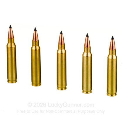 Image 4 of DoubleTap .223 Remington Ammo
