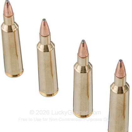 Large image of Premium 22-250 Rem Ammo For Sale - 55 Grain Soft Point Ammunition in Stock by Federal Fusion - 20 Rounds