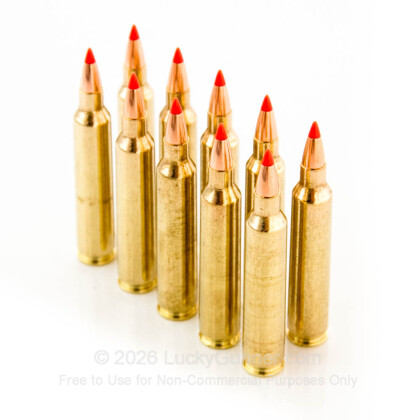 Image 4 of Hornady .204 Ruger Ammo