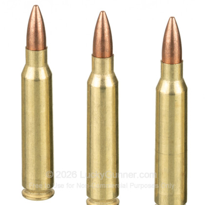 Image 5 of Golden Bear .223 Remington Ammo