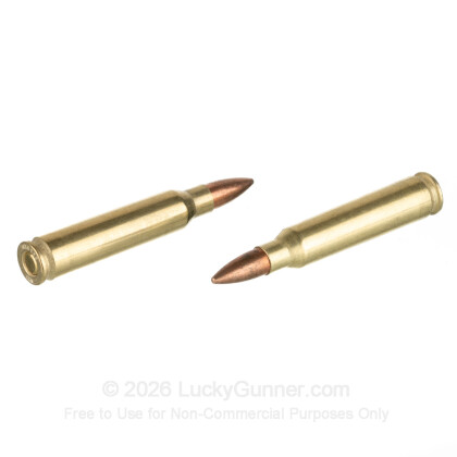 Image 6 of Golden Bear .223 Remington Ammo