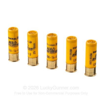 Image 4 of Federal 20 Gauge Ammo