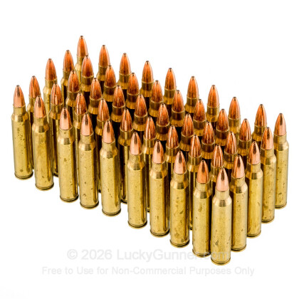 Large image of Premium 223 Rem Ammo For Sale - 55 Grain Barnes TSX Ammunition in Stock by Black Hills - 50 Rounds