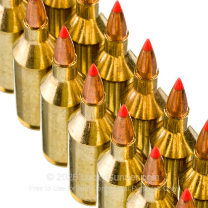 Large image of HSM Varmint 223 WSSM Ammo For Sale - 55 Grain V-MAX - 20 Rounds