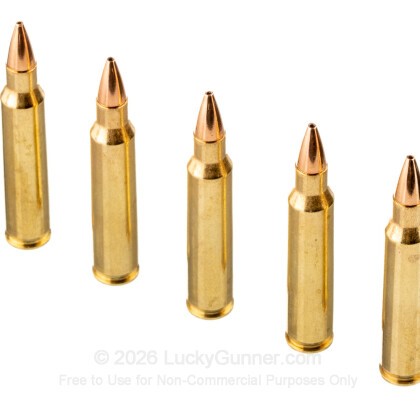 Image 5 of Hornady .223 Remington Ammo