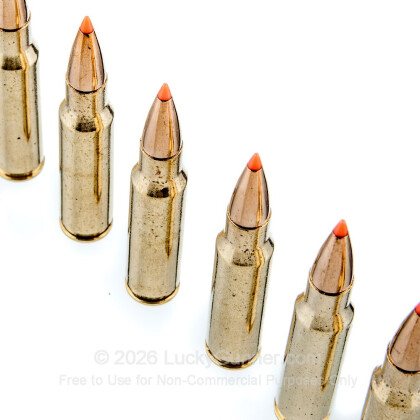 Large image of Premium 308 Win Ammo For Sale - 150 Grain Hornady GMX Polymer Tip Ammunition in Stock by Black Hills Gold Match - 20 Rounds