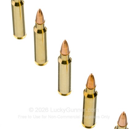 Image 5 of Scorpio .223 Remington Ammo