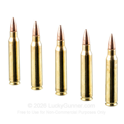 Image 4 of Federal .223 Remington Ammo