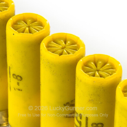 Image 5 of Winchester 20 Gauge Ammo