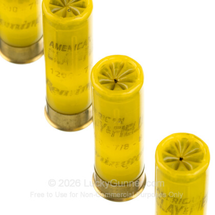 Image 5 of Remington 20 Gauge Ammo