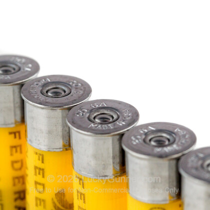 Image 4 of Federal 20 Gauge Ammo