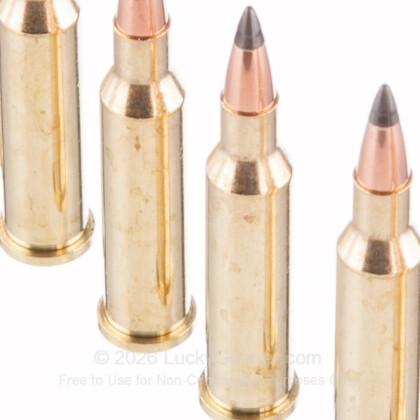 Image 5 of Winchester .17 Hornet Ammo