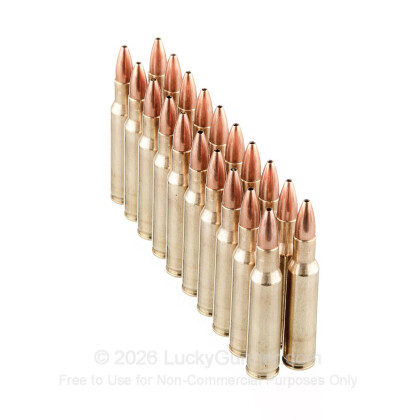 Image 4 of Nosler Ammunition .222 Remington Ammo