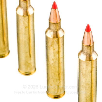 Image 5 of Hornady .204 Ruger Ammo