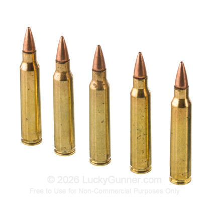 Image 4 of Winchester .223 Remington Ammo