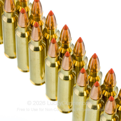 Image 5 of Rifle Ammo from Nosler Ammunition Image 5 of Nosler Ammunition .223 Remington Ammo