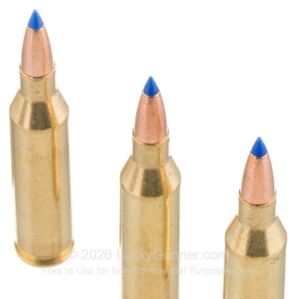 Image 5 of Barnes .243 Winchester Ammo