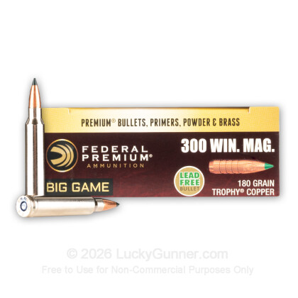 Image 1 of Federal .300 Winchester Magnum Ammo