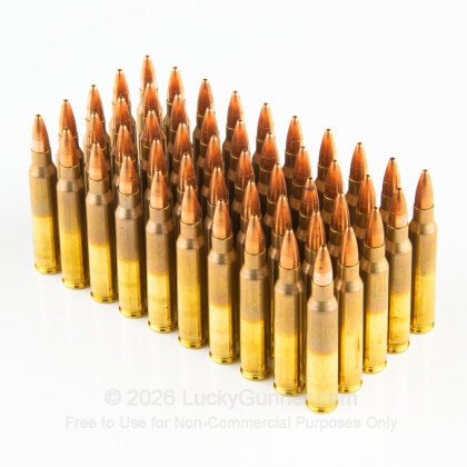 Large image of Premium 223 Rem Ammo For Sale - 55 Grain Multi-Purpose Green HP Ammunition in Stock by Black Hills - 50 Rounds