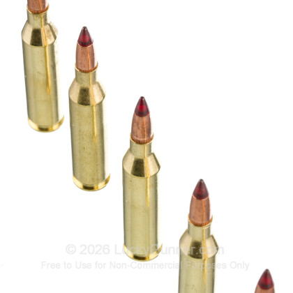 Image 4 of Winchester .243 Winchester Ammo