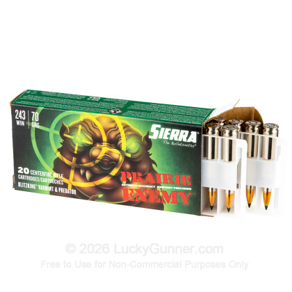 Large image of Premium 243 Ammo For Sale - 70 Grain BlitzKing Ammunition in Stock by Sierra Prairie Enemy - 20 Rounds