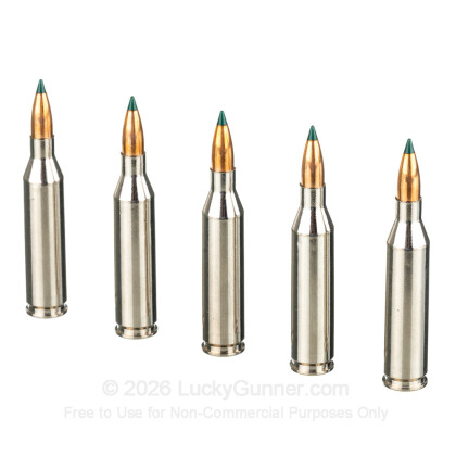 Large image of Premium 243 Ammo For Sale - 70 Grain BlitzKing Ammunition in Stock by Sierra Prairie Enemy - 20 Rounds