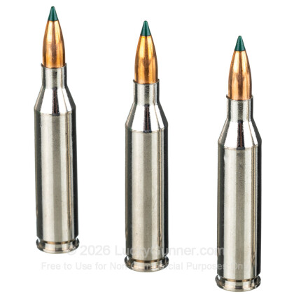 Large image of Premium 243 Ammo For Sale - 70 Grain BlitzKing Ammunition in Stock by Sierra Prairie Enemy - 20 Rounds