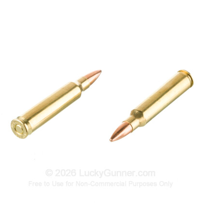 Image 6 of Dogwood .223 Remington Ammo