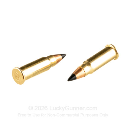 Image 6 of 17 HM2 Ammo from CCI Image 6 of CCI .17 HM2 (Mach 2) Ammo