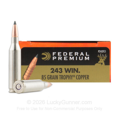 Image 1 of Federal .243 Winchester Ammo