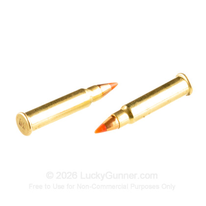 Large image of Cheap 17 HMR Ammo For Sale - 17 gr V-MAX - Hornady Varmint Express Ammunition In Stock - 200 Rounds