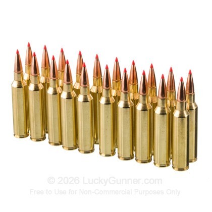 Large image of Hornady American Whitetail Tipped 7mm PRC Ammo For Sale - 154 Grain SST - 20 Rounds