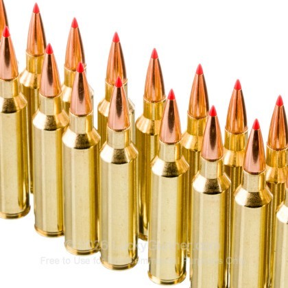 Large image of Hornady American Whitetail Tipped 7mm PRC Ammo For Sale - 154 Grain SST - 20 Rounds