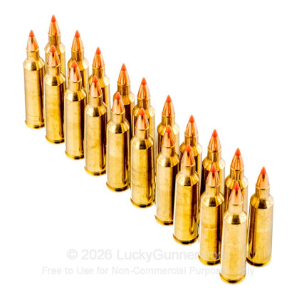 Large image of Premium 22-250 Ammo For Sale - 50 Grain V-Max Ammunition in Stock by Black Hills Gold - 20 Rounds
