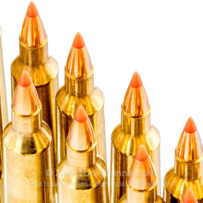 Large image of Premium 22-250 Ammo For Sale - 50 Grain V-Max Ammunition in Stock by Black Hills Gold - 20 Rounds
