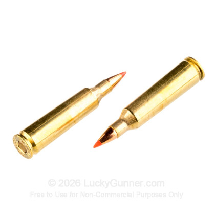 Large image of Premium 22-250 Ammo For Sale - 50 Grain V-Max Ammunition in Stock by Black Hills Gold - 20 Rounds