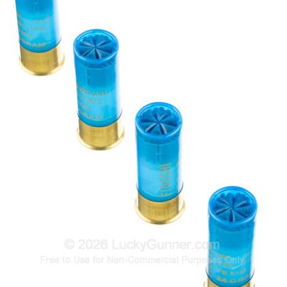 Large image of Bulk 12 Gauge Ammo For Sale - 2-3/4” 7/8oz. #9 Shot Ammunition in Stock by Fiocchi - 250 Rounds