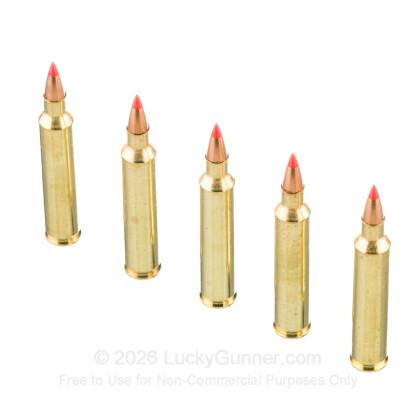 Large image of 204 Ruger Ammo In Stock  - 32 gr V-MAX - Fiocchi 204 Ruger Ammunition For Sale Online