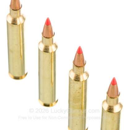 Large image of 204 Ruger Ammo In Stock  - 32 gr V-MAX - Fiocchi 204 Ruger Ammunition For Sale Online