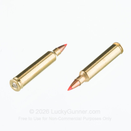 Large image of 204 Ruger Ammo In Stock  - 32 gr V-MAX - Fiocchi 204 Ruger Ammunition For Sale Online